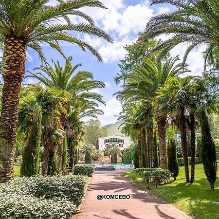 Appartement T2 A Cambo-Les-Bains Avec Piscine, Terrasse Et Parking Prive, Proche Des Thermes - Fr-1-495-82 Εξωτερικό φωτογραφία