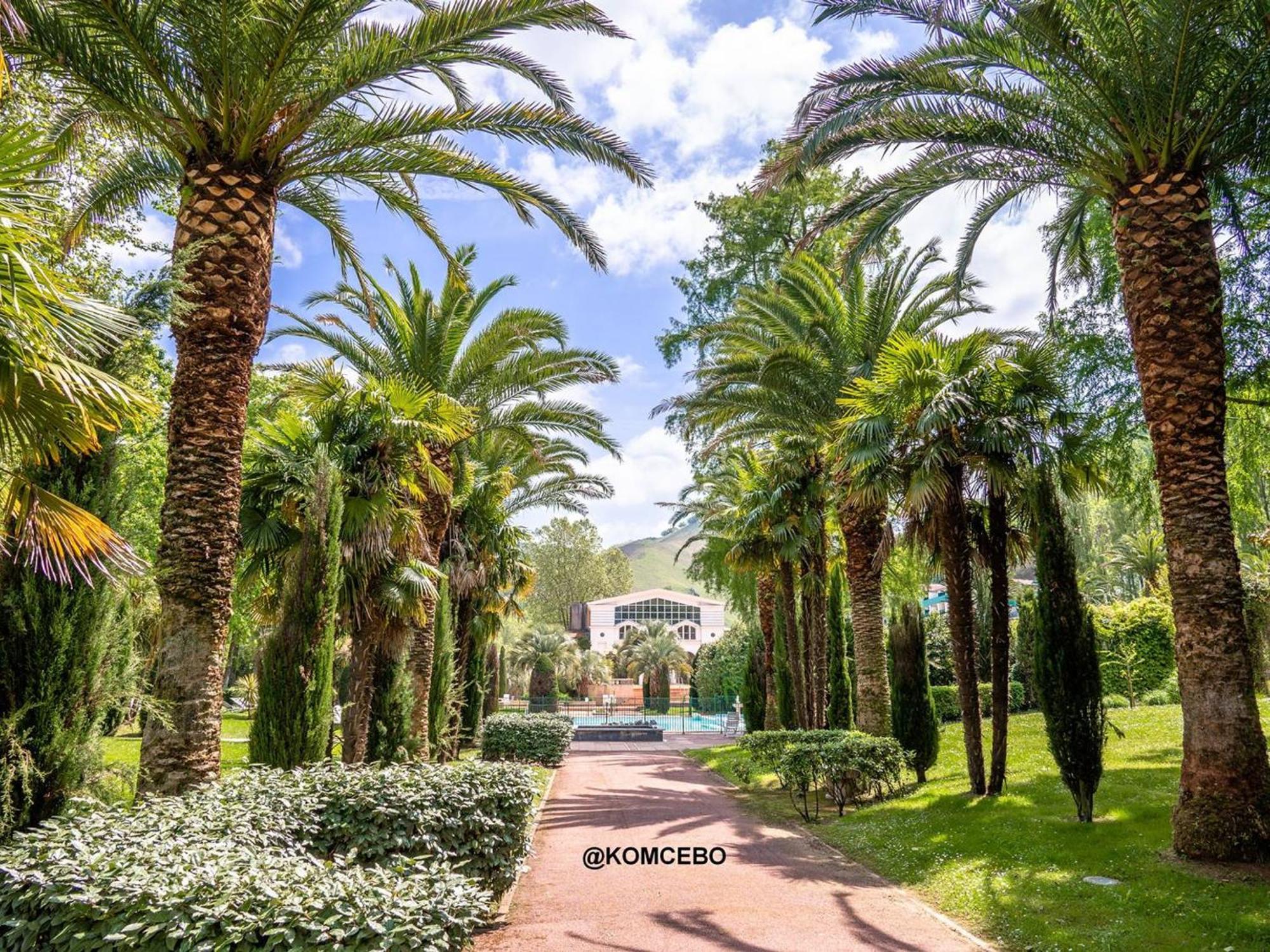 Appartement T2 A Cambo-Les-Bains Avec Piscine, Terrasse Et Parking Prive, Proche Des Thermes - Fr-1-495-82 Εξωτερικό φωτογραφία